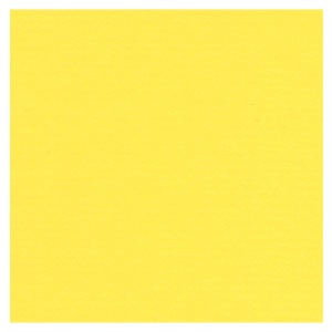 Crescent Decorative Paper Mat Board 32"x40" Yellow 902