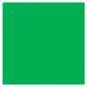 Crescent Decorative Paper Mat Board 32"x40" Kelly Green 993