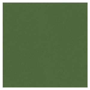 Crescent Decorative Paper Mat Board 32"x40" Grass Green 1045