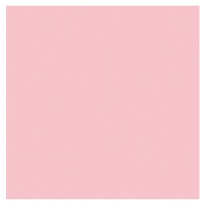 Crescent Decorative Paper Mat Board 32"x40" Madgascar Pink 1078