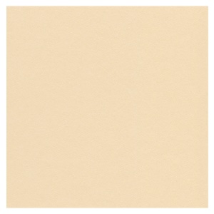 Crescent Decorative Paper Mat Board 32"x40" French Buff 3291