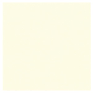 Crescent Select Mat Board 32"x40" White Sands 9508