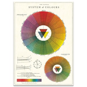 Cavallini Vintage Poster 20" x 28" The Natural System of Colour