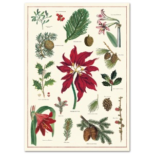 Cavallini Vintage Poster Paper 20"x28" Christmas Botanical