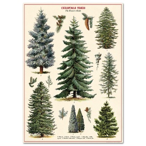 Cavallini Vintage Poster 20"x28" Christmas Trees