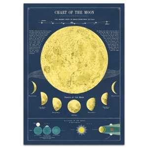 Cavallini Vintage Poster 20"x28" Chart of the Moon