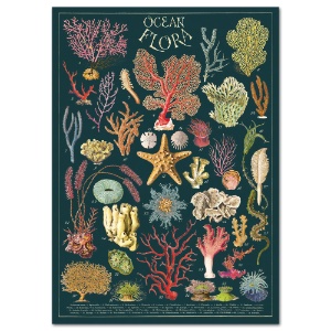 Cavallini Vintage Poster 20"x28" Ocean Flora