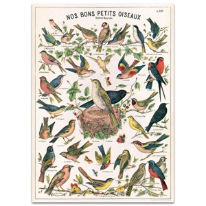 Cavallini Vintage Poster 20"x28" Nos Bons Petits Oiseaux