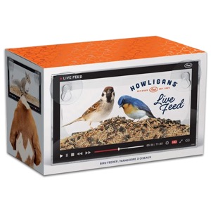 Fred Studio Bird Feeder Live Feed