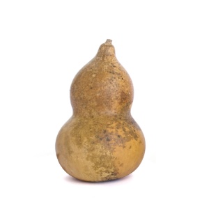 Decorative Gourd Hourglass Shape Extra-Small Size