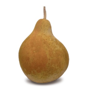 Decorative Gourd Pear Shape Small Size