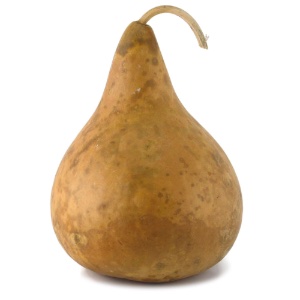 Decorative Gourd Pear Shape Large Size