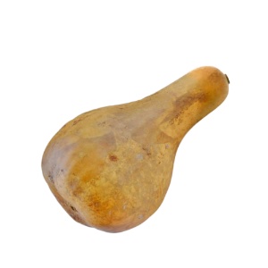 Decorative Gourd Yam Shape Extra-Small Size