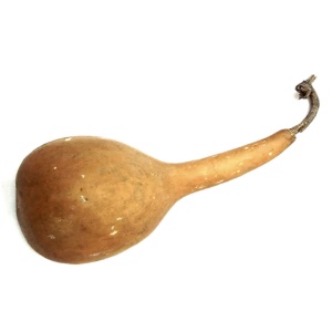 Decorative Gourd Yam Shape Small Size