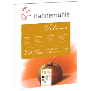 Hahnemuhle Velour Pastel Paper Pad 10 Sheets 11.7"x15.60" Assorted