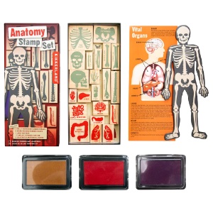 Kikkerland DIY Human Body Anatomy Stamp 21 Set