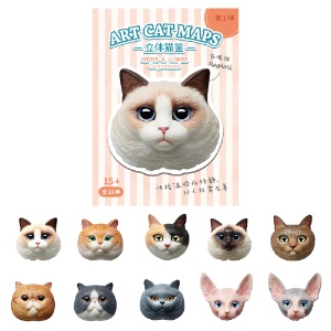 IATOYS & JUONEE Blind Box Art Cat Maps Magnet