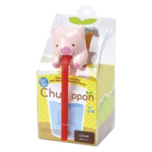 Noted Chuppon Pig Clover