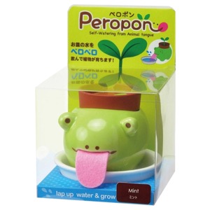 Noted Peropon Frog Mint