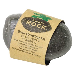 Noted Plants Rock Basil Growing Kit