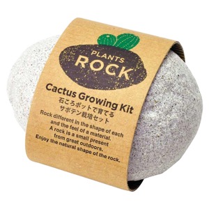 Noted Plants Rock Cactus Growing Kit