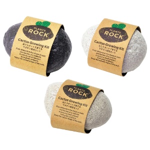 Noted Plants Rock Cactus