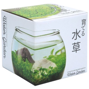 Noted Water Garden Tranquil & Calming Plant Aquarium