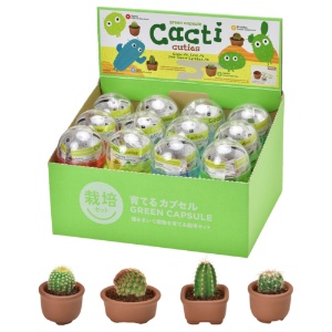 Noted Green Capsule Cactus Cuties