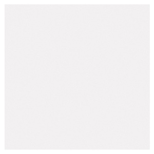 Pacon Railroad Poster Board 4-Ply 22"x28" White