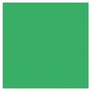 Pacon Railroad Poster Board 4-Ply 22"x28" Holiday Green