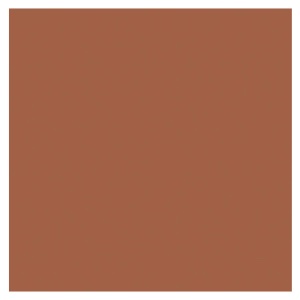 Pacon Railroad Poster Board 4-Ply 22"x28" Brown