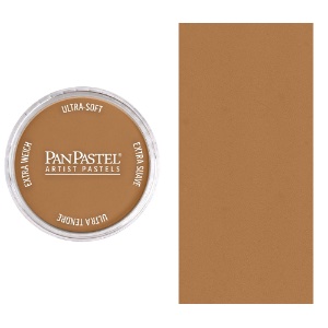 PanPastel Artists' Painting Pastel Raw Sienna Shade 710.3