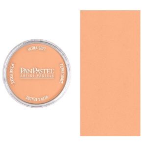PanPastel Artists' Painting Pastel Burnt Sienna Light 740.7