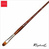 Raphael Precision Long Handled Brush - Filbert #0