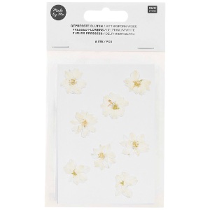 Rico Design Pressed Flower 8 Set Delphinium White