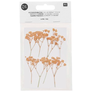 Rico Design Pressed Flower 8 Set Gypsophilia Orange