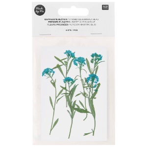 Rico Design Pressed Flower 6 Set Sweet Alyssum Blue