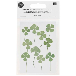 Rico Design Pressed Plant 10 Set 4-Leaf Clover