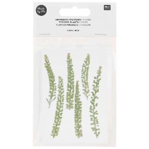 Rico Design Pressed Plant 6 Set Cress
