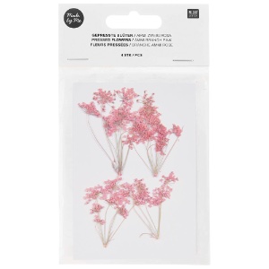 Rico Design Pressed Flower 4 Set Ammi Branch Pink
