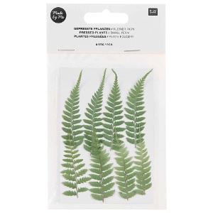 Rico Design Pressed Plant 8 Set Small Fern