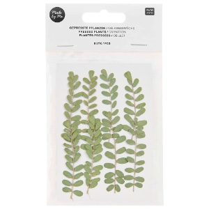 Rico Design Pressed Plant 8 Set Carnation