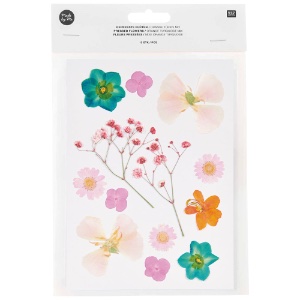 Rico Design Pressed Flower 13 Set Orange Turquoise Mix