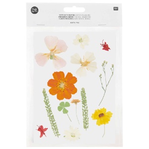 Rico Design Pressed Flower 13 Set Natural Orange Mix