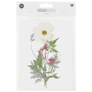 Rico Design Pressed Flower 13 Set White Violet Mix