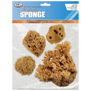 Combination Sponge Set