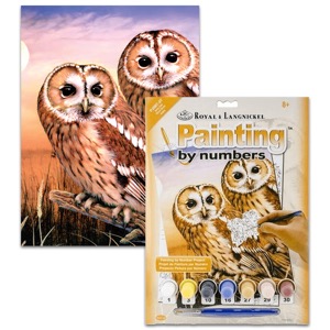 Royal Brush Painting by Numbers Junior 8.75"x11.75" Tawny Owls