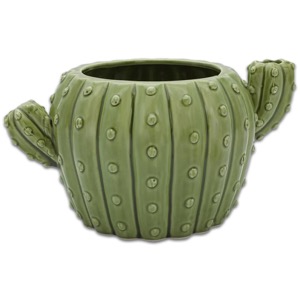 Ceramic Planter Cactus