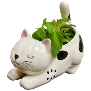 Ceramic Planter Raise Your Bum Kitty