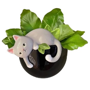 Ceramic Planter Playful Kitty